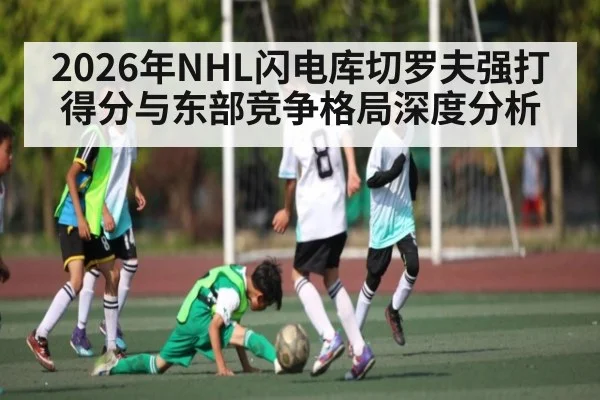 2026年NHL闪电库切罗夫强打得分与东部竞争格局深度分析